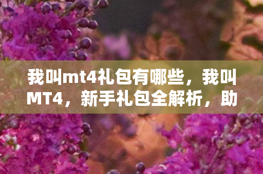 我叫mt4礼包有哪些，我叫MT4，新手礼包全解析，助你快速上手游戏