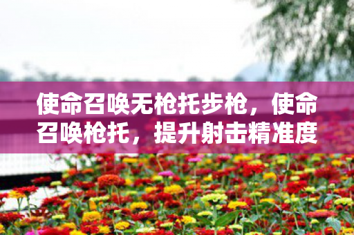 使命召唤无枪托步枪,使命召唤枪托,提升射击精准度的秘密武器 使命召唤无枪托步枪,使命召唤枪托,提升射击精准度的秘密武器