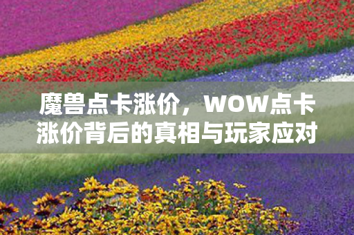 魔兽点卡涨价,WOW点卡涨价背后的真相与玩家应对之道 魔兽点卡涨价,WOW点卡涨价背后的真相与玩家应对之道