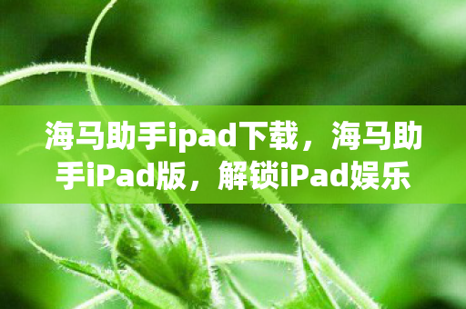 海马助手ipad下载,海马助手iPad版,解锁iPad娱乐新体验 海马助手ipad下载,海马助手iPad版,解锁iPad娱乐新体验