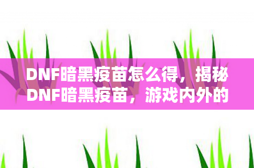 DNF暗黑疫苗怎么得，揭秘DNF暗黑疫苗，游戏内外的神秘存在