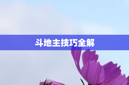 斗地主技巧全解 斗地主技巧全解