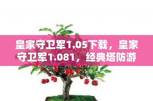皇家守卫军1.05下载，皇家守卫军1.081，经典塔防游戏的全新挑战