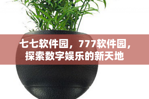 七七软件园,777软件园,探索数字娱乐的新天地 七七软件园,777软件园,探索数字娱乐的新天地