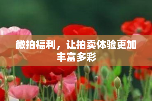 微拍福利,让拍卖体验更加丰富多彩 微拍福利,让拍卖体验更加丰富多彩