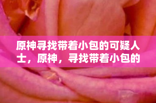 原神寻找带着小包的可疑人士,原神,寻找带着小包的可疑人士 原神寻找带着小包的可疑人士,原神,寻找带着小包的可疑人士