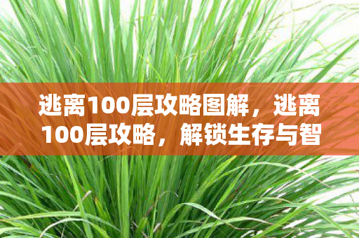 逃离100层攻略图解,逃离100层攻略,解锁生存与智慧的双重挑战 逃离100层攻略图解,逃离100层攻略,解锁生存与智慧的双重挑战