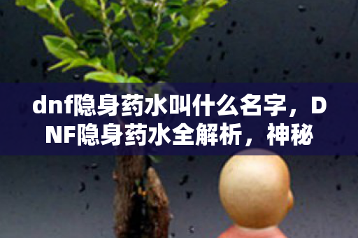 dnf隐身药水叫什么名字,DNF隐身药水全解析,神秘药剂的奥秘与用途 dnf隐身药水叫什么名字,DNF隐身药水全解析,神秘药剂的奥秘与用途