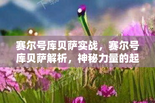 赛尔号库贝萨实战,赛尔号库贝萨解析,神秘力量的起源与影响 赛尔号库贝萨实战,赛尔号库贝萨解析,神秘力量的起源与影响