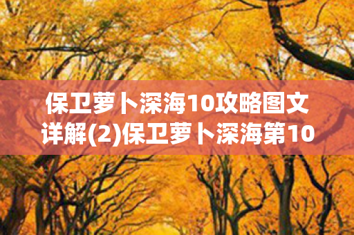 保卫萝卜深海10攻略图文详解(2)保卫萝卜深海第10关金萝卜攻略及布阵图 保卫萝卜深海10攻略图文详解(2)保卫萝卜深海第10关金萝卜攻略及布阵图
