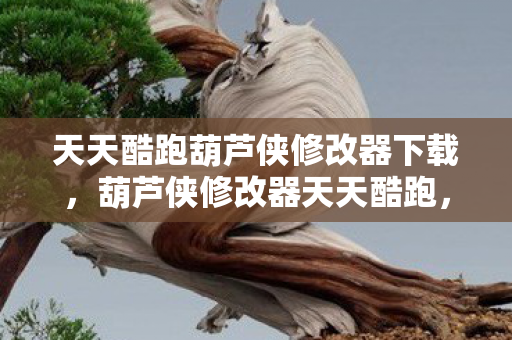 天天酷跑葫芦侠修改器下载,葫芦侠修改器天天酷跑,解锁无限可能的跑酷新体验 天天酷跑葫芦侠修改器下载,葫芦侠修改器天天酷跑,解锁无限可能的跑酷新体验