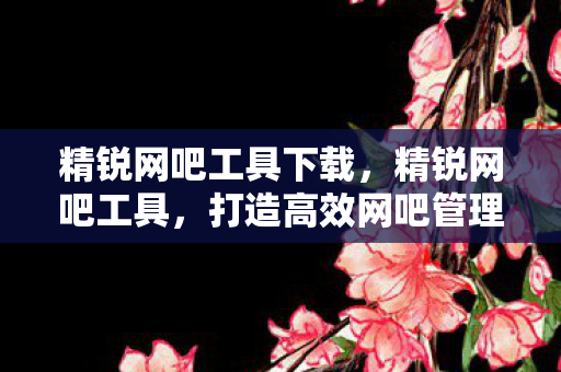 精锐网吧工具下载,精锐网吧工具,打造高效网吧管理的秘密武器 精锐网吧工具下载,精锐网吧工具,打造高效网吧管理的秘密武器