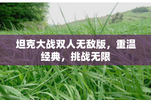 坦克大战双人无敌版，重温经典，挑战无限