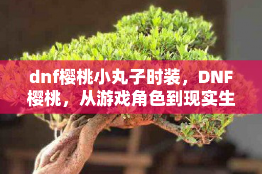 dnf樱桃小丸子时装,DNF樱桃,从游戏角色到现实生活的甜蜜邂逅 dnf樱桃小丸子时装,DNF樱桃,从游戏角色到现实生活的甜蜜邂逅