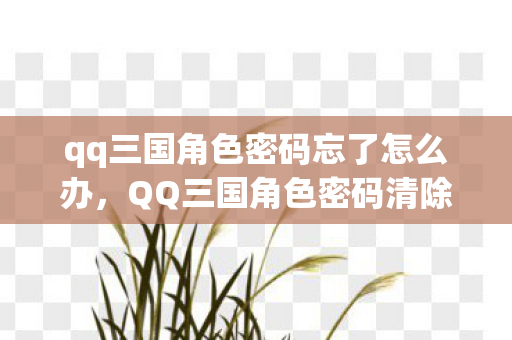 qq三国角色密码忘了怎么办，QQ三国角色密码清除全攻略