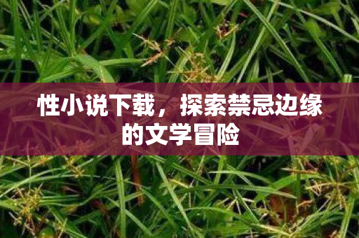 性小说下载,探索禁忌边缘的文学冒险 性小说下载,探索禁忌边缘的文学冒险