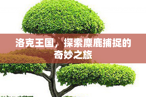 洛克王国,探索麋鹿捕捉的奇妙之旅 洛克王国,探索麋鹿捕捉的奇妙之旅
