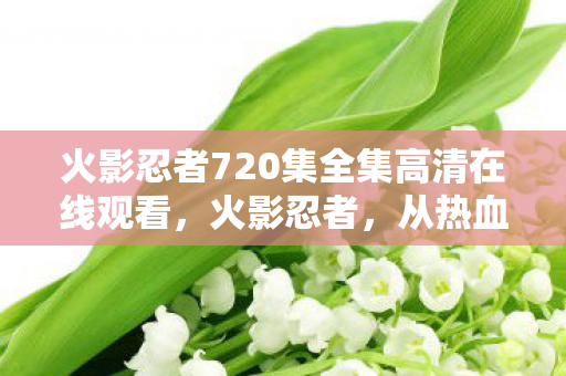 火影忍者720集全集高清在线观看,火影忍者,从热血少年到传奇忍者的成长之路 火影忍者720集全集高清在线观看,火影忍者,从热血少年到传奇忍者的成长之路