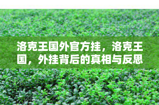 洛克王国外官方挂,洛克王国,外挂背后的真相与反思 洛克王国外官方挂,洛克王国,外挂背后的真相与反思