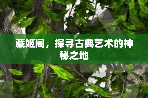 藏姬阁,探寻古典艺术的神秘之地 藏姬阁,探寻古典艺术的神秘之地