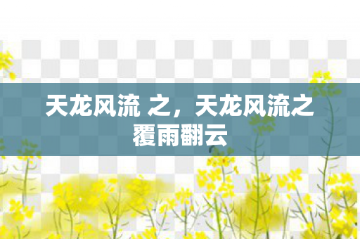 天龙风流 之，天龙风流之覆雨翻云
