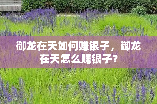 御龙在天如何赚银子,御龙在天怎么赚银子? 御龙在天如何赚银子,御龙在天怎么赚银子?