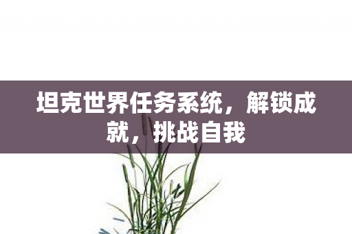 坦克世界任务系统,解锁成就,挑战自我 坦克世界任务系统,解锁成就,挑战自我