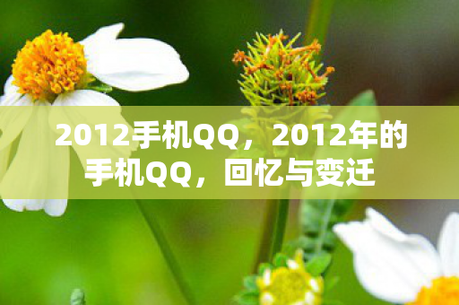 2012手机QQ,2012年的手机QQ,回忆与变迁 2012手机QQ,2012年的手机QQ,回忆与变迁