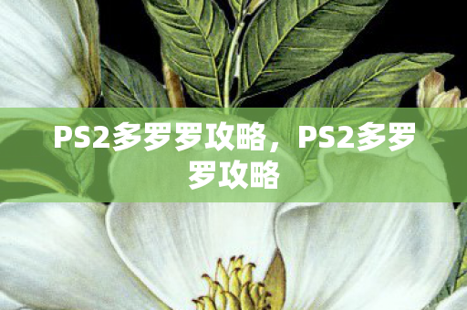 PS2多罗罗攻略,PS2多罗罗攻略 PS2多罗罗攻略,PS2多罗罗攻略