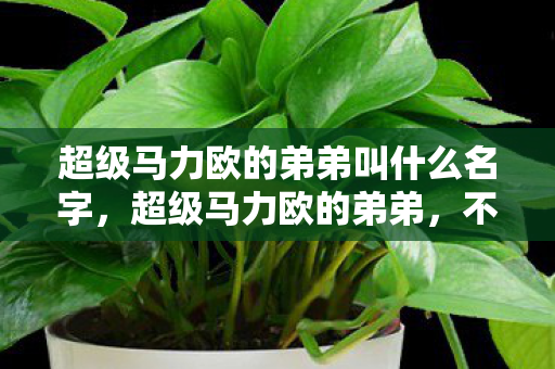 超级马力欧的弟弟叫什么名字,超级马力欧的弟弟,不为人知的秘密 超级马力欧的弟弟叫什么名字,超级马力欧的弟弟,不为人知的秘密