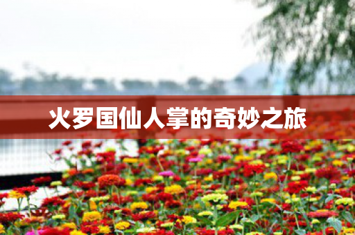 火罗国仙人掌的奇妙之旅 火罗国仙人掌的奇妙之旅