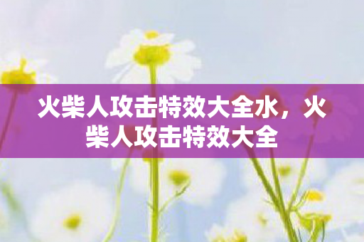 火柴人攻击特效大全水,火柴人攻击特效大全 火柴人攻击特效大全水,火柴人攻击特效大全