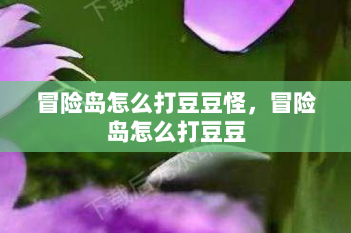 冒险岛怎么打豆豆怪,冒险岛怎么打豆豆 冒险岛怎么打豆豆怪,冒险岛怎么打豆豆