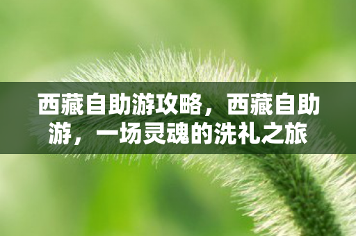 西藏自助游攻略,西藏自助游,一场灵魂的洗礼之旅 西藏自助游攻略,西藏自助游,一场灵魂的洗礼之旅