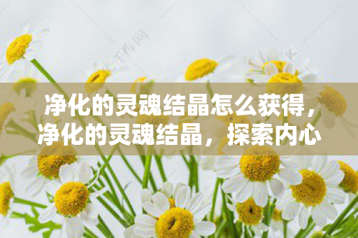 净化的灵魂结晶怎么获得,净化的灵魂结晶,探索内心的纯净与成长 净化的灵魂结晶怎么获得,净化的灵魂结晶,探索内心的纯净与成长
