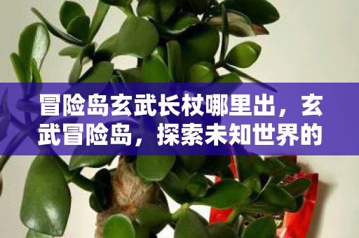 冒险岛玄武长杖哪里出,玄武冒险岛,探索未知世界的奇幻之旅 冒险岛玄武长杖哪里出,玄武冒险岛,探索未知世界的奇幻之旅
