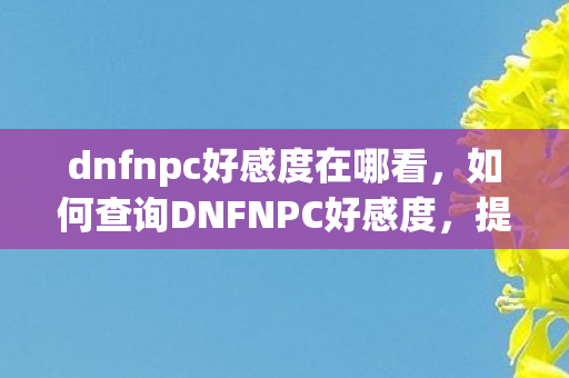 dnfnpc好感度在哪看，如何查询DNFNPC好感度，提升游戏体验的秘诀
