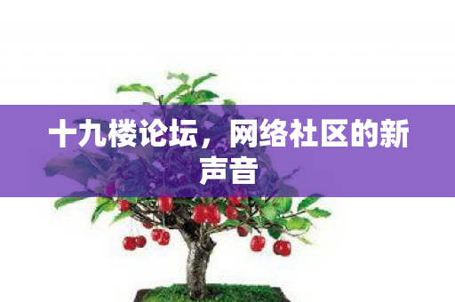 十九楼论坛,网络社区的新声音 十九楼论坛,网络社区的新声音