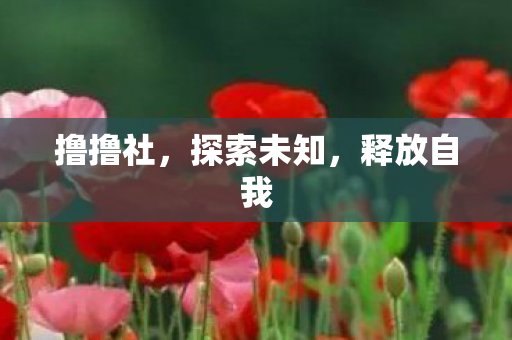 撸撸社,探索未知,释放自我 撸撸社,探索未知,释放自我