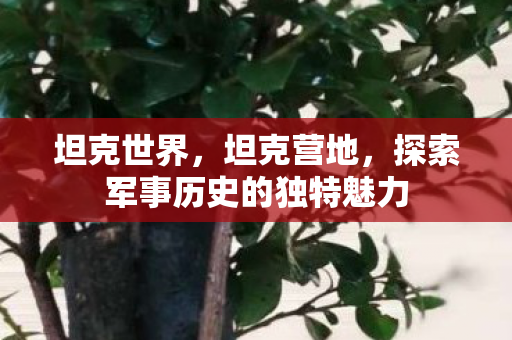 坦克世界,坦克营地,探索军事历史的独特魅力 坦克世界,坦克营地,探索军事历史的独特魅力