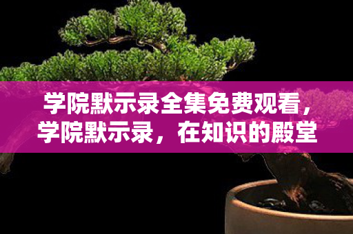 学院默示录全集免费观看，学院默示录，在知识的殿堂中寻找自我