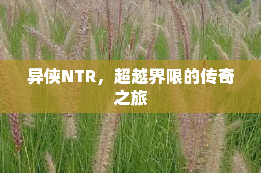 异侠NTR,超越界限的传奇之旅 异侠NTR,超越界限的传奇之旅