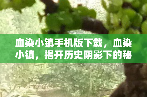 血染小镇手机版下载,血染小镇,揭开历史阴影下的秘密 血染小镇手机版下载,血染小镇,揭开历史阴影下的秘密