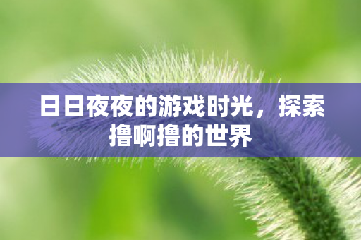 日日夜夜的游戏时光,探索撸啊撸的世界 日日夜夜的游戏时光,探索撸啊撸的世界