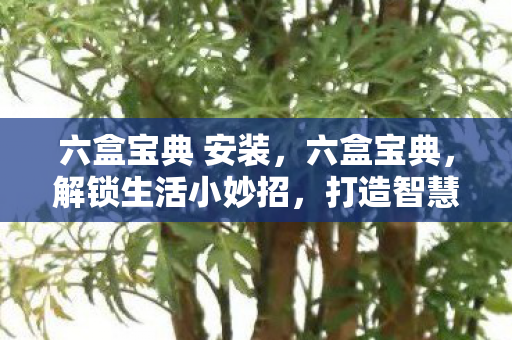 六盒宝典 安装,六盒宝典,解锁生活小妙招,打造智慧生活 六盒宝典 安装,六盒宝典,解锁生活小妙招,打造智慧生活