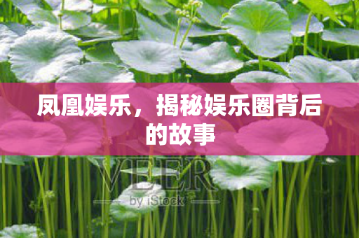 凤凰娱乐,揭秘娱乐圈背后的故事 凤凰娱乐,揭秘娱乐圈背后的故事