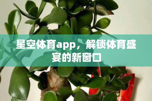星空体育app,解锁体育盛宴的新窗口 星空体育app,解锁体育盛宴的新窗口