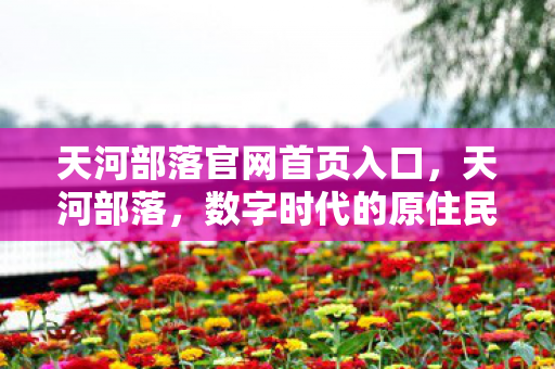 天河部落官网首页入口,天河部落,数字时代的原住民文化探索 天河部落官网首页入口,天河部落,数字时代的原住民文化探索