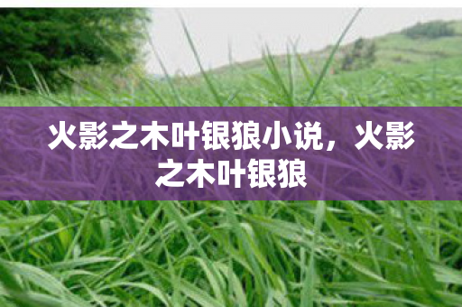 火影之木叶银狼小说,火影之木叶银狼 火影之木叶银狼小说,火影之木叶银狼
