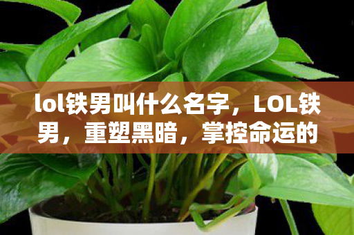 lol铁男叫什么名字,LOL铁男,重塑黑暗,掌控命运的王者 lol铁男叫什么名字,LOL铁男,重塑黑暗,掌控命运的王者